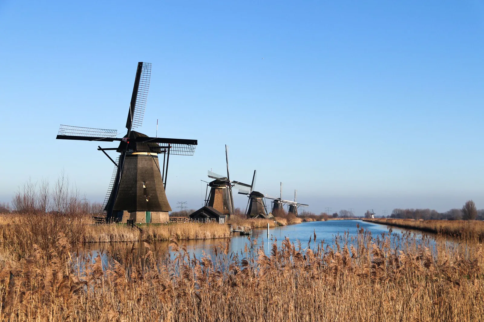Historic windmills along a canal in Kinderdijk, the Netherlands